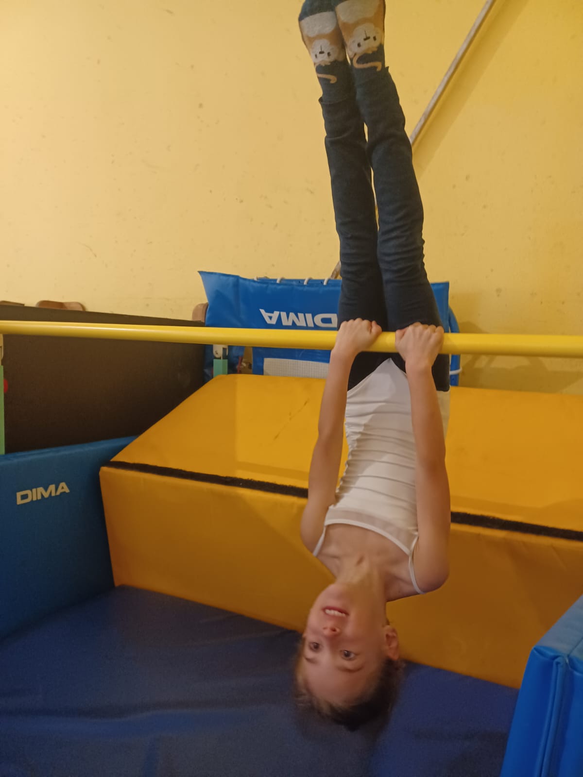 eveil gym 2025 2026